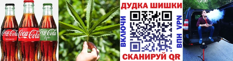 Canna-Cookies марихуана  Чкаловск 